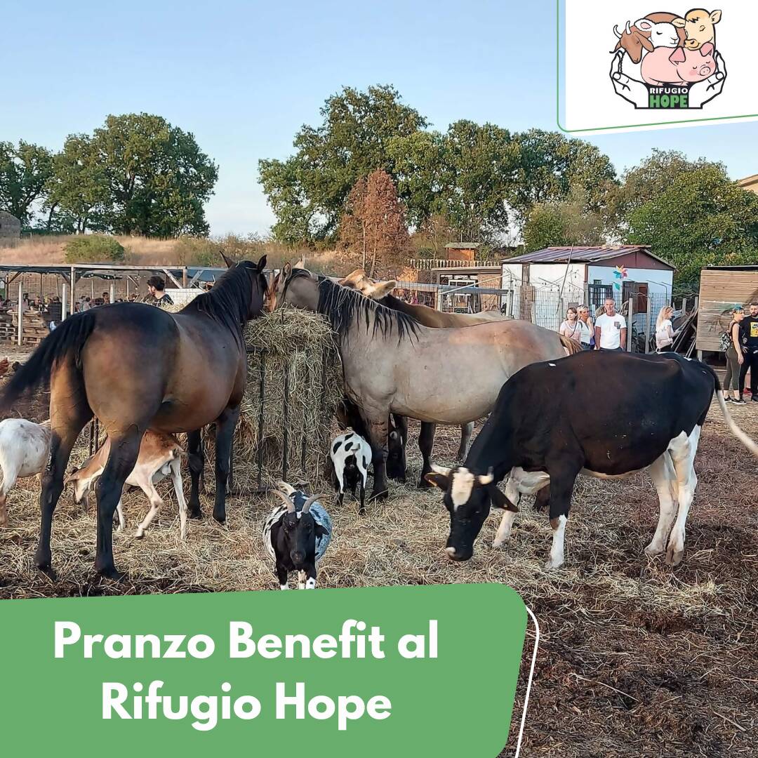 Pranzo Benefit al Rifugio Hope